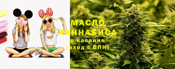 тгк Кукмор