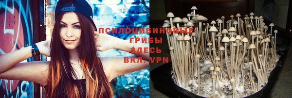 тгк Кукмор