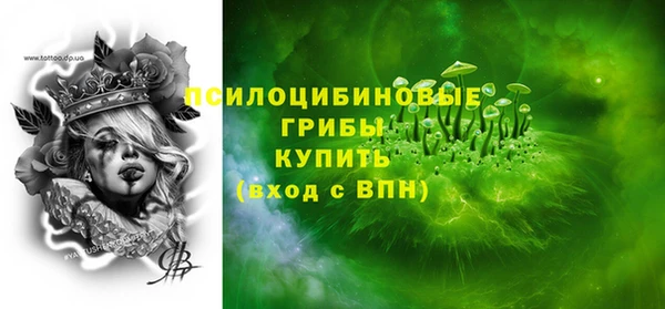 тгк Кукмор